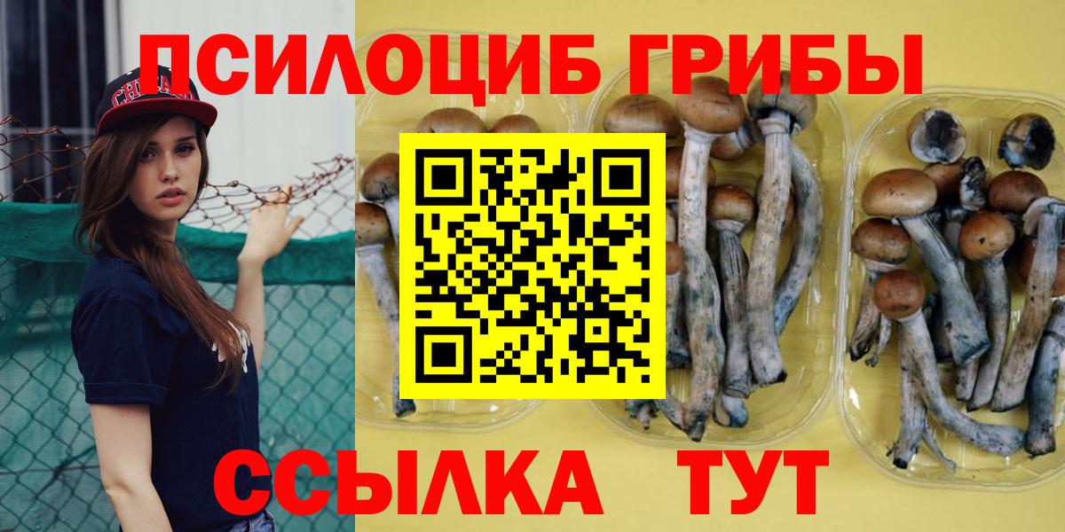 Галлюциногенные грибы Psilocybe  Вход с VPN  Волгоград 